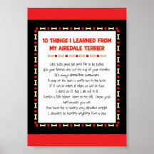 Funny Things I Learned From My Airedale Terrier Posters
