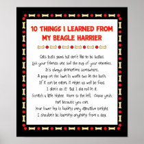 Funny Things I Learned From My Beagle Harrier Posters