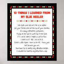 Funny Things I Learned From My Blue Heeler Print