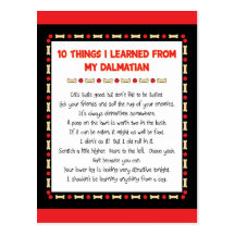Funny Things I Learned From My Dalmatian Post Cards