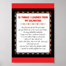 Funny Things I Learned From My Dalmatian Print