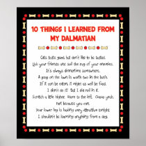 Funny Things I Learned From My Dalmatian Print