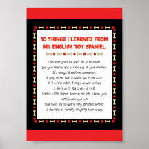 Funny Things I Learned From My English Toy Spaniel Print