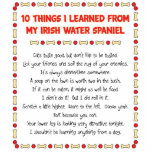 Funny Things I Learned From My Irish Water Spaniel Photo Cutouts