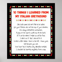 Funny Things I Learned From My Italian Greyhound Posters