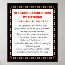 Funny Things I Learned From My Keeshond Posters