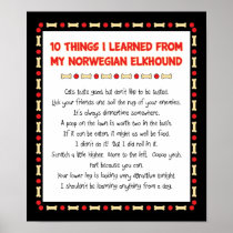 Funny Things I Learned From My Norwegian Elkhound Print