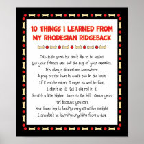 Funny Things I Learned From My Rhodesian Ridgeback Posters