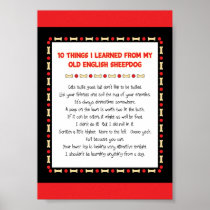 Funny Things I Learned From Old English Sheepdog Posters