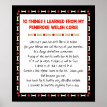Funny Things I Learned From Pembroke Welsh Corgi Posters