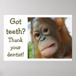 Funny Tooth Gratitude
