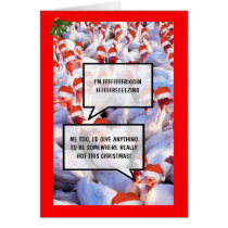 Funny Turkey Christmas
