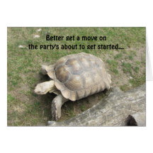 Funny Turtle Birthday Greeting Card