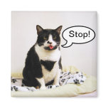 Funny Tuxedo Cat "Stop!" Magnet