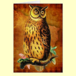 Funny Vintage Owl Birthday Card cards