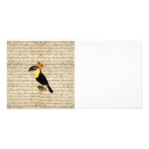 Funny vintage toucan & crown photo card template
