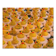 Funny Yellow Rubber Ducks 10x8 Print Photograph