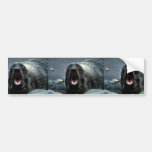 Fur Seal Portrait Bumper Sticker