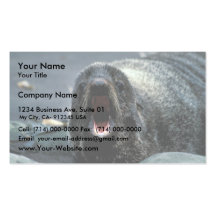 Fur Seal Portrait Business Cards