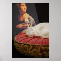 Furet sur coussin rose II Print