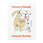 Furever Friends Humane Society postcard