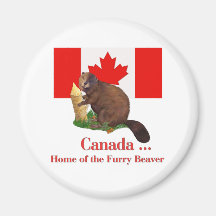 Furry Beaver Magnets