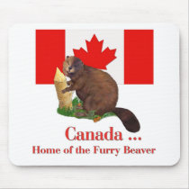 Furry Beaver