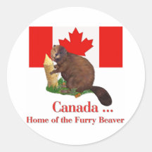 Furry Beaver Round Sticker