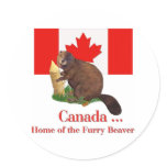 Furry Beaver Round Sticker