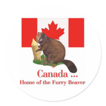 Furry Beaver