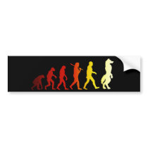 Furry evolution bumper sticker