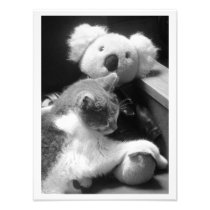"Furry Friends" Cat & Koala Photography Print