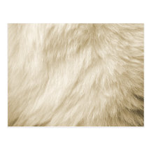 Furry postcard