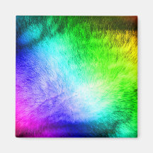 Furry Rainbow Magnets