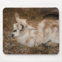 Furry small goat doeling baby mousepad