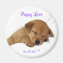 Furs & Me - Puppy Love Magnet