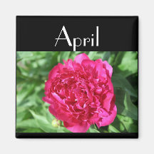 Fuschia Peony - Customized - Custo... - Customized Refrigerator Magnets