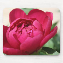 Fuschia Peony Mouse Mats