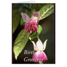 Fuschia,    salutations d'anniversaire cartes de vœux