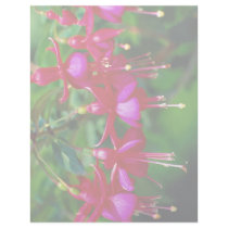 Fuschias Personalized Letterhead