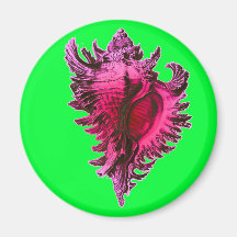 Fuscia Pink Sea Shell Refrigerator Magnet