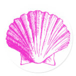 Fuscia Sea Shell Sticker