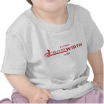 Future Dreamwidth User Baby Tee