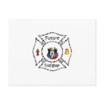 Future FF Dalmation