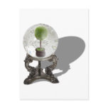 FutureOfEcology062710shadows postcards