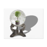 FutureOfEcology062710shadows Postcards