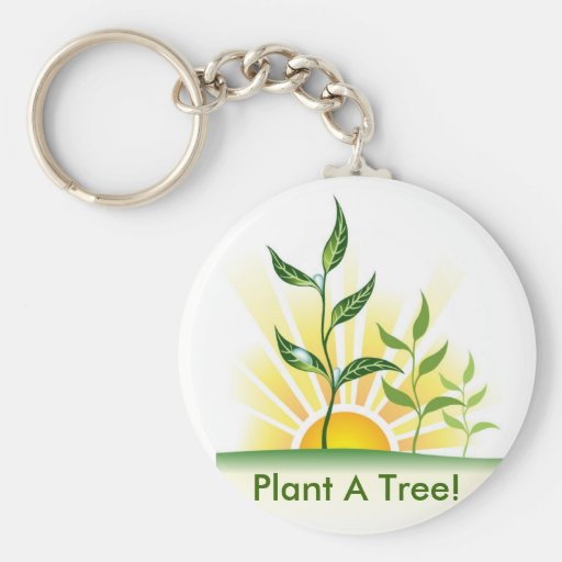 Futurs arbres porte-clés