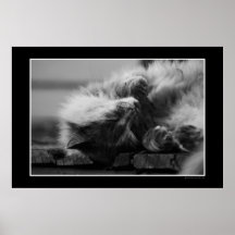 Fuzz Poster