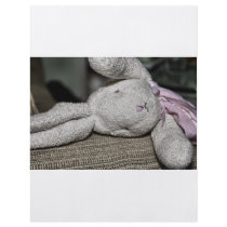 Fuzzy Bunny Flyers