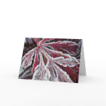 Fuzzy frosty leaf card